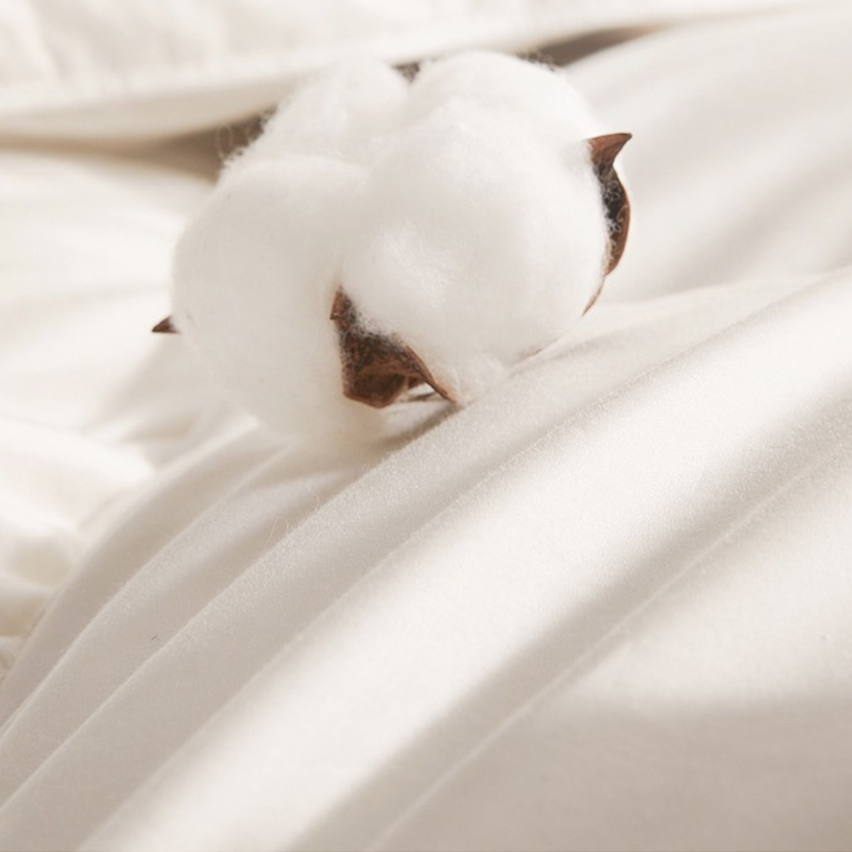 down comforters on sale - Warmy & Tummy